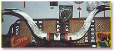 wood018.gif (20068 bytes)